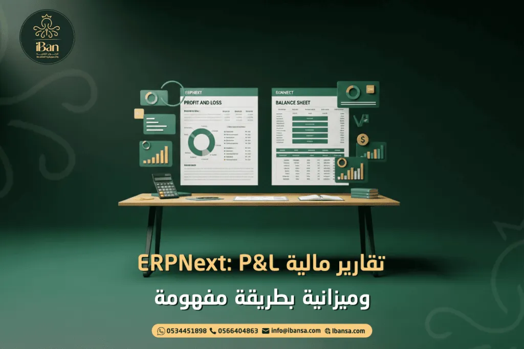 تقارير مالية ERPNext: P&amp;L وميزانية بطريقة مفهومة