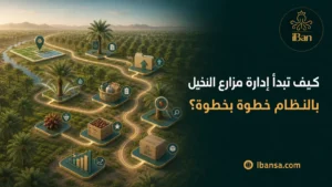 خطوات إدارة مزارع النخيل بالنظام من تسجيل الأشجار إلى متابعة الري والتسميد والعمليات الزراعية والإنتاج