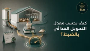 كيفية حساب معدل التحويل الغذائي في مزارع الدواجن باستخدام كمية العلف والوزن المكتسب لتقييم كفاءة الإنتاج