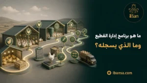 برنامج إدارة القطيع لتسجيل أعداد الطيور والأوزان والعلف والنفوق والتحصينات والتكاليف